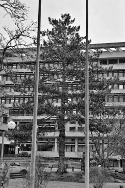 PFORZHEIM, GERMANY - 21 Şubat 2026 Arkaplanda beton cam mimari bir bina ile şehir avlusunda duran büyük bir yeşil ağacı gösteren tek renkli bir yazı..