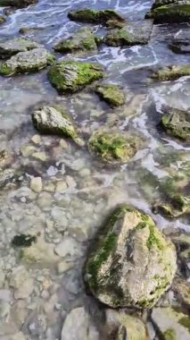 Deniz dalgalarının rahatlatıcı görüntüsü yavaşça kıyıya vuruyor, büyük taşları parlak yeşil yosunlarla yıkıyor..