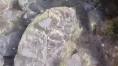 Deniz dalgalarının rahatlatıcı görüntüsü yavaşça kıyıya vuruyor, büyük taşları parlak yeşil yosunlarla yıkıyor..