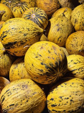 Bir yığın karpuz ya da sarı-turuncu benekli balkabağı.