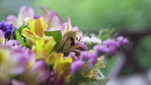 La abeja vuela sobre un hermoso ramo — Vídeo de stock