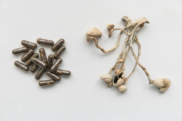 Microdosagem psicodélica. Medicamentos Psilocybin cogumelo. Um quarto mágico. microdosagem Psilocybe seco cubensis. — Fotografia de Stock