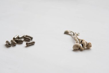 İlaçlar fiziksel olarak kuru Psilosibe cubensis. Psikedelik mikrodoz. Enerji mikro dozajlı Psilosibin mantarı. Sihirli mantar .