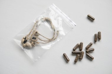 Sihirli mantar. Psikedelik mikrodoz. Enerji mikro dozajı. İlaçlar fiziksel. Psilosibin mantarı. Dry Psilocybe cubensis.