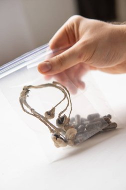 Psikedelik mikrodoz. Enerji mikro dozajı. İlaçlar fiziksel. Psilosibin mantarı. Elinde sihirli bir mantar var. Dry Psilocybe cubensis.