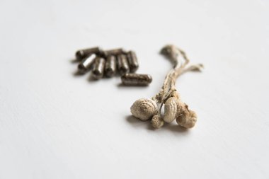 Enerji mikro dozlama ilaçları fiziksel olarak kuru Psilosibe cubensis. Psilosibin mantarı. Psikedelik mikrodoz. Sihirli mantar .
