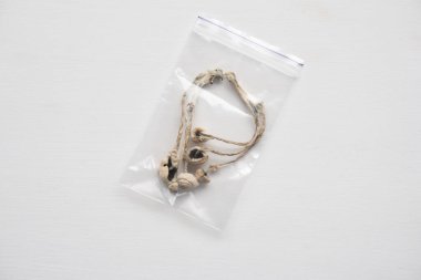 Sihirli mantar. Enerji mikro dozajı. İlaçlar fiziksel. Psilosibin mantarı yetiştir. Psikedelik mikrodoz. Dry Psilocybe cubensis.