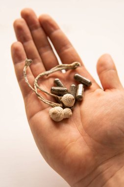energy micro dosing Medicines physical. Psychedelic microdosing. Dry Psilocybe cubensis. Psilocybin mushroom in hand. Magic shroom .