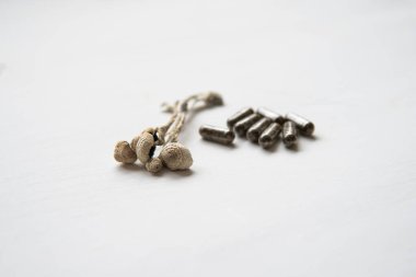 Psychedelic microdosing. Magic shroom . Psilocybin mushroom. Medicines physical Dry Psilocybe cubensis. energy micro dosing