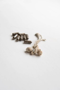 Fiziksel Psilosibin mantarı. Kuru Psilocybe cubensis. Enerji mikro dozajlı Psychedelic mikrodoz. Sihirli mantar .