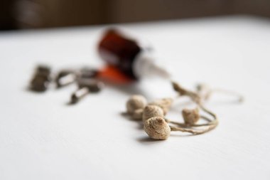 Enerji mikro dozajı. Sihirli mantar. Psilosibin mantarı. Psikedelik mikrodoz. Kuru Psilocybe cubensis. İlaçlar fiziksel.