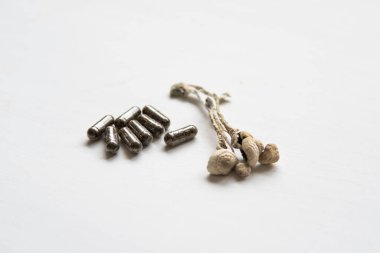 Psilosibin mantarı. Enerji mikro dozajlı Psychedelic mikrodoz. Sihirli mantar. İlaçlar: Fiziksel Kuru Psilosibe Kübü.