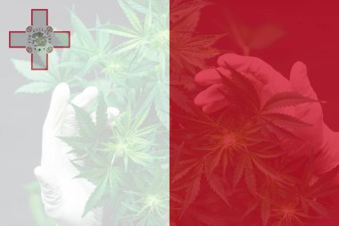 Malta 'da tıbbi esrar. Malta bayrağında esrar marihuanası yaprağı. Malta 'da esrar yasallaştırma. Malta 'da Ot Azaltma.