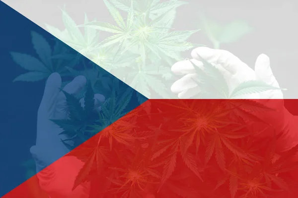 Marijuanablad Tjeckiens Flagga Gräs Avkriminalisering Tjeckiska Cannabislegalisering Tjeckien Medicinsk Cannabis — Stockfoto