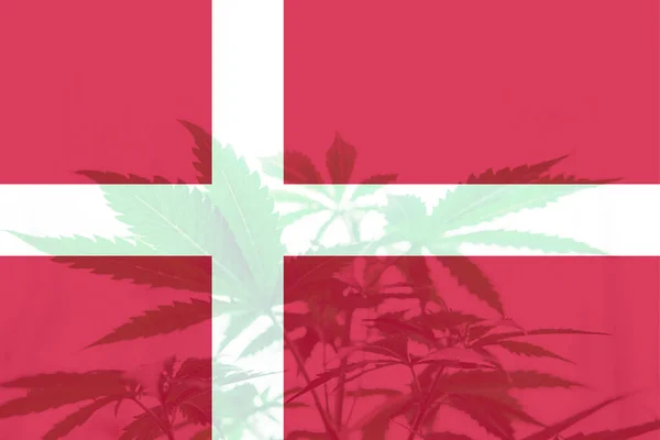 Лист Марихуаны Конопли Флаге Дании Медицинская Марихуана Дании Декриминализация Травы — стоковое фото