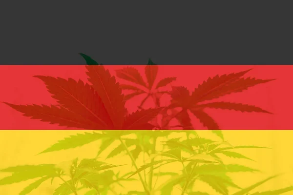 德国国旗上的大麻叶 德国的杂草去刑事化 德国的大麻合法化 德国的医疗大麻 — 图库照片