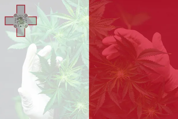 Medical Cannabis Malta Leaf Cannabis Marijuana Flag Malta Cannabis Legalization — Stock Photo, Image
