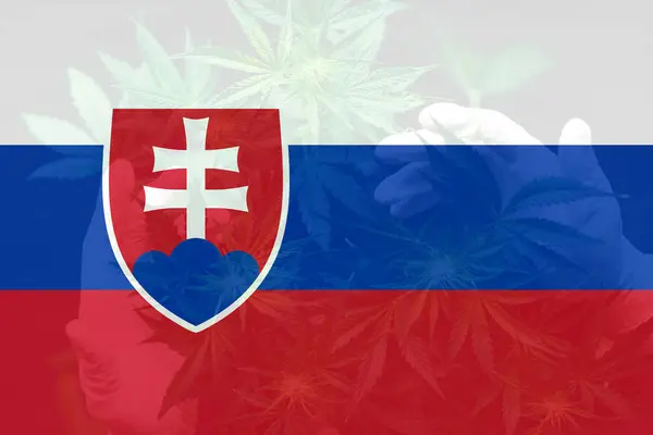斯洛伐克的杂草去刑事化 在斯洛伐克国旗上的大麻叶 斯洛伐克的大麻合法化 斯洛伐克的医疗大麻 — 图库照片