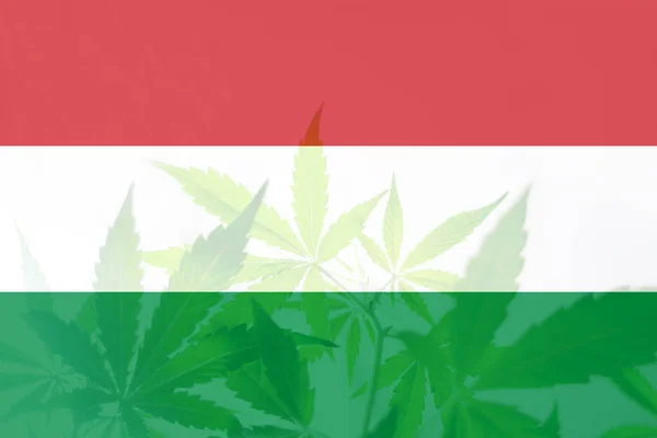Marijuanablad Ungerns Flagga Cannabislegalisering Ungern Ogräsavkriminalisering Usa Medicinsk Cannabis Ungern — Stockfoto