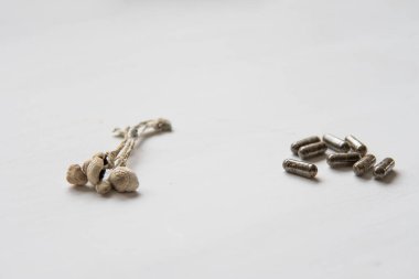 Psikedelik mikrodoz. Enerji mikro dozajlı Psilosibin mantarı. Sihirli mantar. İlaçlar: Fiziksel Kuru Psilosibe Kübü.