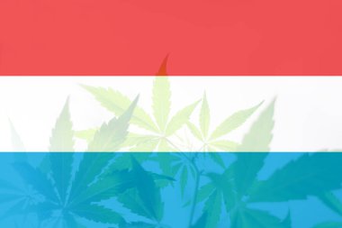 Lüksemburg 'da esrarın yasallaştırılması. Lüksemburg 'da ot arındırma. Lüksemburg bayrağında kenevir marihuanası. Lüksemburg 'da tıbbi esrar.