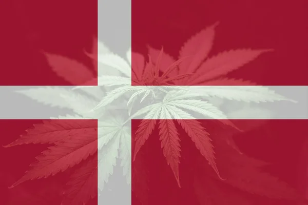 Медицинская Марихуана Дании Декриминализация Травы Дании Легализация Конопли Дании Лист — стоковое фото