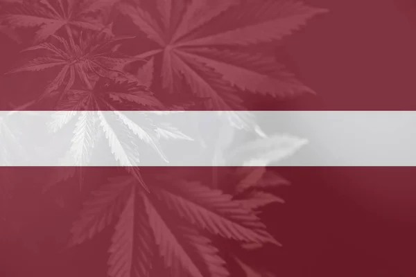 Avkriminalisering Ogräs Lettland Medicinsk Cannabis Lettland Marijuanablad Lettlands Flagga Cannabislegalisering — Stockfoto