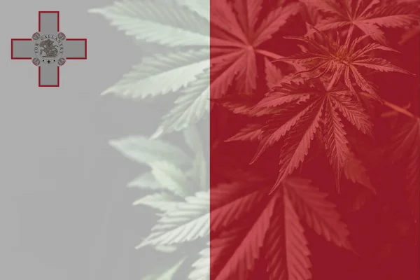 Avkriminalisering Ogräs Malta Medicinsk Cannabis Malta Marijuanablad Maltas Flagga Cannabislegalisering — Stockfoto