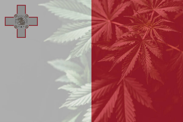 Weed Decriminalization in Malta. Medical cannabis in the Malta. leaf of cannabis marijuana on the flag of Malta. Cannabis legalization in the Malta.