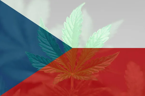 Marijuanablad Tjeckiens Flagga Medicinsk Cannabis Tjeckien Gräs Avkriminalisering Tjeckiska Cannabislegalisering — Stockfoto