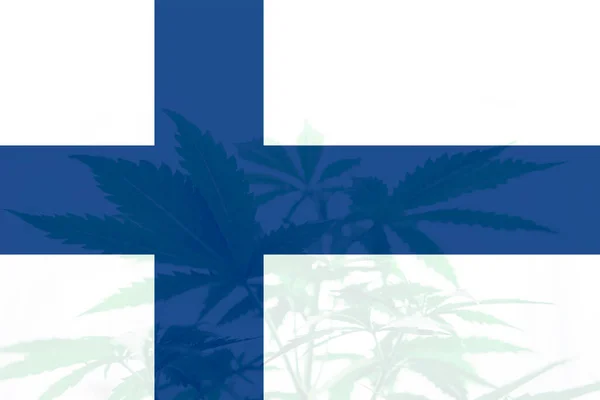 Лист Марихуаны Конопли Флаге Финляндии Легализация Конопли Финляндии Медицинская Марихуана — стоковое фото