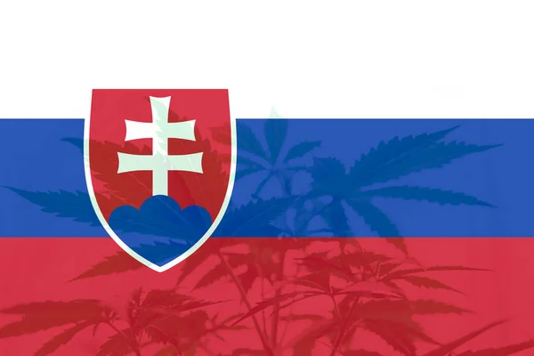 Feuille Cannabis Marijuana Sur Drapeau Slovaquie Décriminalisation Des Mauvaises Herbes — Photo