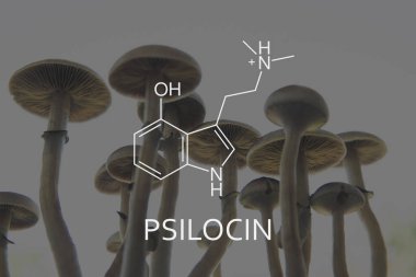 Psilosin formülü. Yasal Tıbbi Psikedelik. Psikoaktif doğal ilaç. Akıl sağlığı için tıbbi psilosibin ve psilosin. Psilosibin mantarlarının eğlence amaçlı kullanımı.