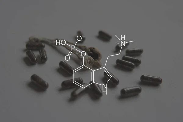 Pszilocibin Formula Legalizáció Orvosi Orvosi Pszilocibin Mentális Egészség Pszilocibin Gomba — Stock Fotó