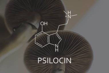 Psilosin formülü. Yasal Tıbbi Psikedelik. Ruh sağlığına ilişkin tıbbi psilosibin ve psilosin .