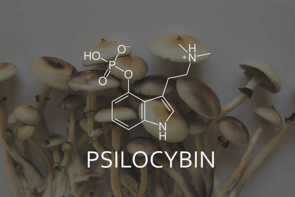 Champignons met psilocybine-formule. Legalisatie Medisch. Medische psilocybine over de gezondheid van de geestelijke gezondheid. — Stockfoto