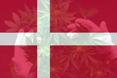 Danimarka 'da tıbbi esrar. Danimarka bayrağında kenevir marihuana yaprağı. Danimarka 'da yabani otların arındırılması. Danimarka 'da esrar yasallaştırması.