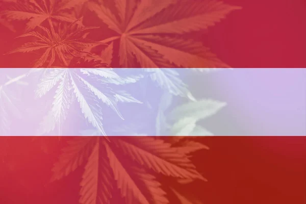 Marijuanablad Avstriyas Flagga Avkriminalisering Ogräs Avstriya Cannabis Legalisering Avstriya Medicinsk — Stockfoto