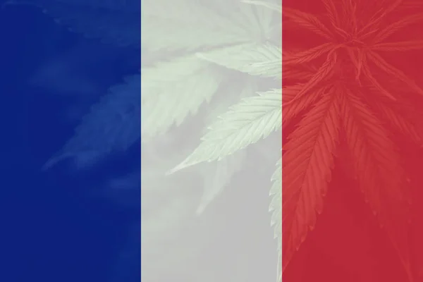 Decriminalization France Leaf Cannabis Marijuana Flag France Cannabis Legalization France — Stock Photo, Image