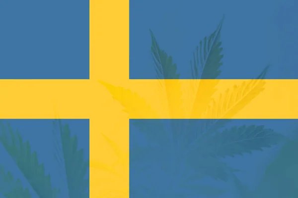 Легализация Конопли Швеции Медицинская Марихуана Швеции Декриминализация Сорняков Швеции Лист — стоковое фото