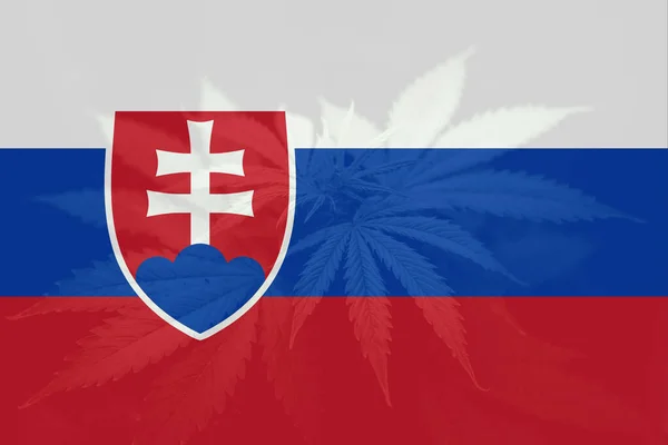 在斯洛伐克国旗上的大麻叶 斯洛伐克的医疗大麻 斯洛伐克的大麻合法化 斯洛伐克的杂草除罪化 — 图库照片