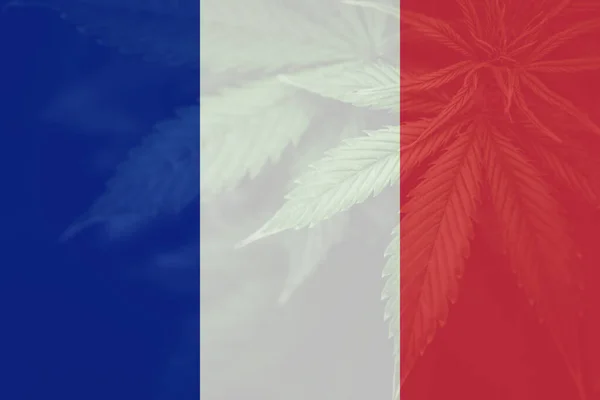 Decriminalizáció Franciaországban Marihuána Levél Franciaország Zászlaján Kannabisz Legalizáció Franciaországban Orvosi Stock Kép