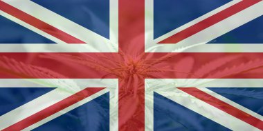 İngiltere 'de tıbbi esrar. Büyük Britanya bayrağında esrar marihuanası yaprağı. Birleşik Krallık 'ta esrar yasallaştırma. İngiltere 'de Ot Azaltma.