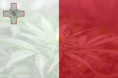 Malta 'da ot arındırma. Malta 'da tıbbi esrar. Malta bayrağında esrar marihuanası yaprağı. Malta 'da esrar yasallaştırması.
