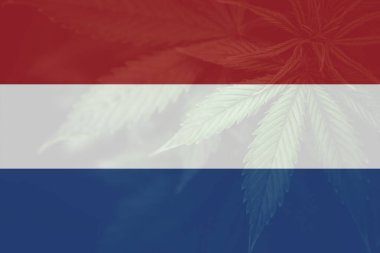 Hollanda 'da otun minimalizasyonu. Hollanda 'da tıbbi kenevir. Hollanda bayrağında kenevir marihuana yaprağı. Hollanda 'da esrar yasallaştırması.