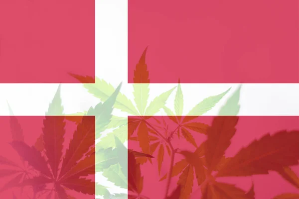 Легализация Конопли Дании Медицинская Марихуана Дании Лист Марихуаны Конопли Флаге — стоковое фото