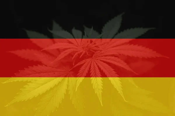 德国的大麻合法化 德国的医疗大麻 德国国旗上的大麻叶 德国的杂草去刑事化 — 图库照片