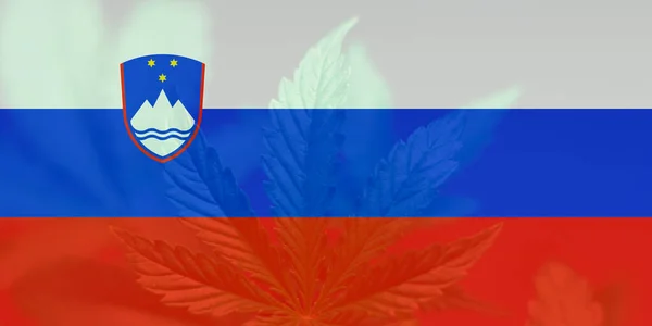 斯洛文尼亚的医疗大麻 斯洛文尼亚的杂草去刑事化 在斯洛文尼亚国旗上的大麻叶 斯洛文尼亚的大麻合法化 — 图库照片