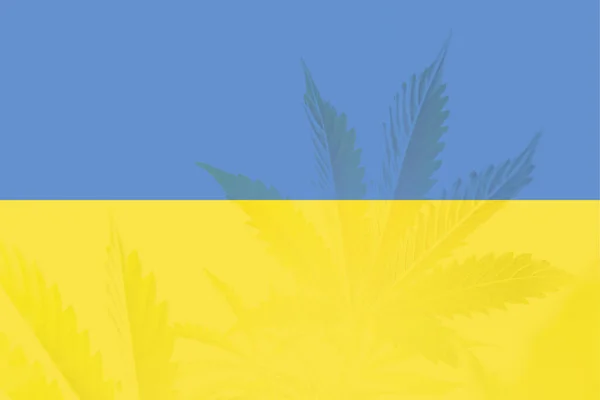 Medical Cannabis Ukraine Weed Decriminalization Ukraine Leaf Cannabis Marijuana Flag — Stock Photo, Image