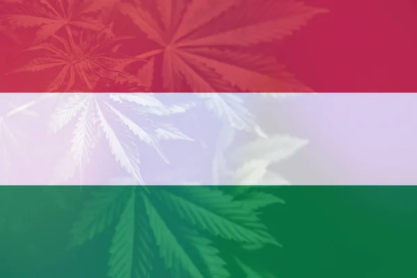 Cannabislegalisering Ungern Medicinsk Cannabis Ungern Ogräsavkriminalisering Usa Marijuanablad Ungerns Flagga — Stockfoto
